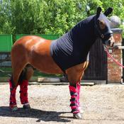 Snuggy Hoods Lycra Hood Pull On Navy