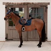 Kentucky Fly Veil Wellington Sparkling Navy