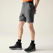 Dare 2b Torrek II Walking Shorts Magnet | Men's Hiking Shorts Ireland image