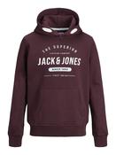 Jack &amp; Jones JJHERRO Boys Hoody -PORT image