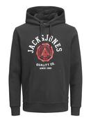 Jack &amp; Jones JJELOGO Hoody -BLACK image