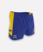 Abbeyside LGFA Training Shorts (Blue/Amber) image
