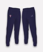 Borris-Ileigh GAA BARR Joggers (Navy) image