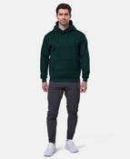 Motion Summit Overhead Hoody (Midnight Moss) image