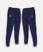 Emeralds Camogie BARR Joggers (Navy) image