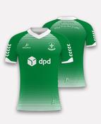 Holycross Ballycahill GAA dpd Jersey (Green) image