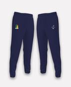 Moyne Templetuohy LGFA BARR Joggers (Navy) image