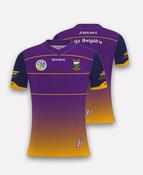 St Brigids Camogie (Laois) Jersey image