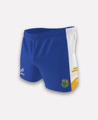 St Brigid's Belfast Training Shorts image