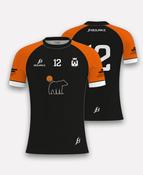 Turku Delights GAA Jersey  2024/25 image