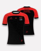 Crumlin Integrated College Training Jersey image