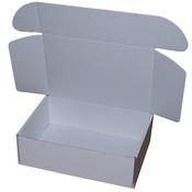 310mm x 220mm x 100mm (Code PL2 White Pack of 10) image