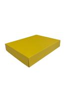 280mm x 210mm x 45mm (Code 656 Yellow Pack of 10)