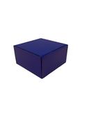 230mm x 230mm x 125mm (Code T10 Blue Pack of 10)