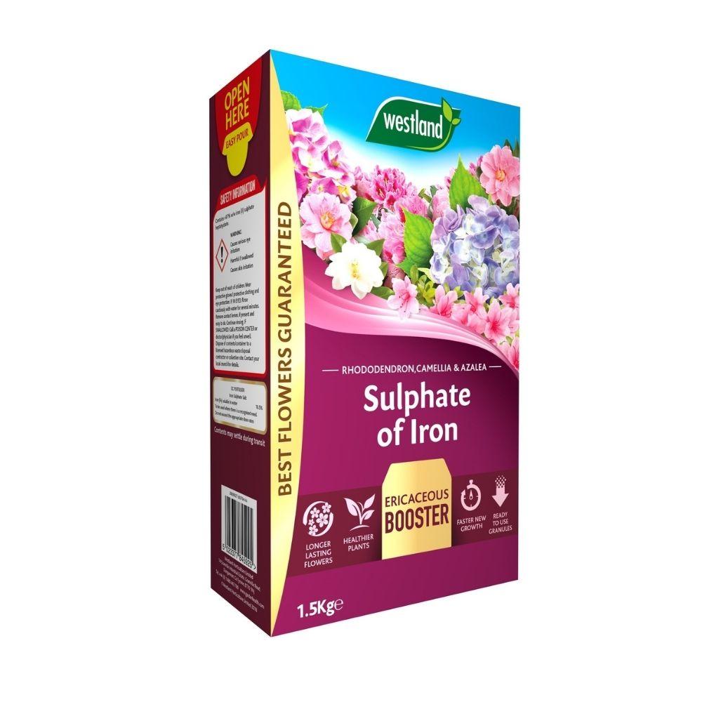 Westland Sulphate of Iron Plant Food 1.5kg for Ericaceous Plants - Granules for Stronger Roots, Greener Foliage & Healthier Flowers