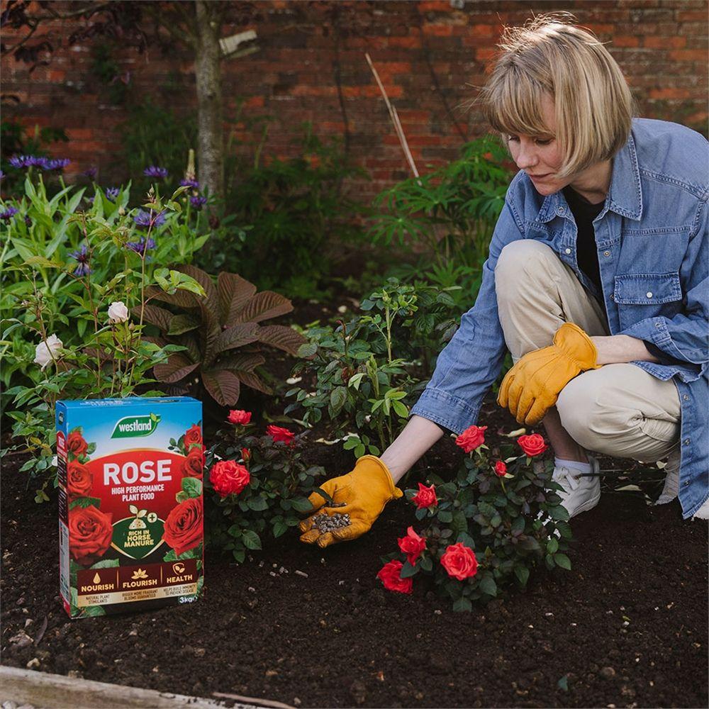 Westland Rose High Performance Plant Food 3kg for Bigger Blooms with Horse Manure