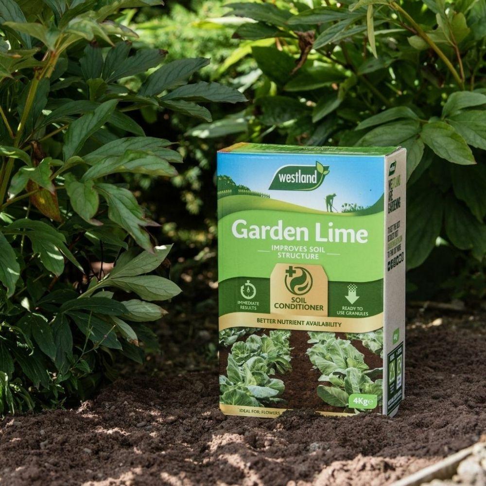 Westland Garden Lime 4 Kg - Improves Soil Structure, Immediate Results, Soil Conditioner, Better Nutrient Availability, Ready to Use Granules