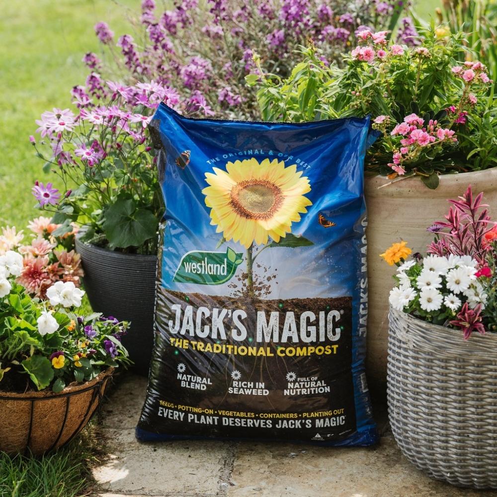 Westland Jack's Magic All Purpose Compost 40L - Peat-based, Natural Nutrients, Seaweed Enriched, Moisture Retention, Root Growth Support, Sunflower, Buy 3 Get 3 Free