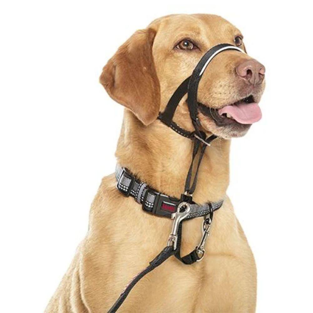 Halti Headcollar Black Size 0 - Stops Pulling, Kind control for your dog