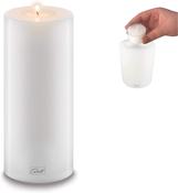 Trend 8/18 White Nightlights