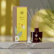 Reed Fragrance Diffuser - Lemongrass &amp; Cedarwood | 200ml