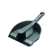 Dustpan &amp; Stiff Brush Set Metallic Silver image
