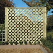 Diagonal Trellis