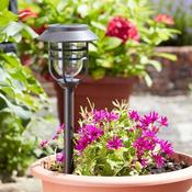 Avant 5L Stake Light 5pc