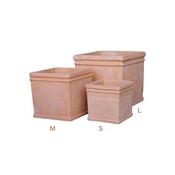 Chi Square Planter image