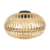 Amsfield Ceiling Light image