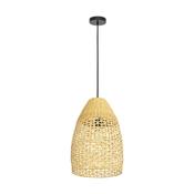 Sambucona Single Pendant Light image