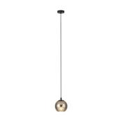 Lemorieta 1 Light Pendant image