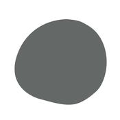 Forest Grey