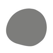 Lead Grey