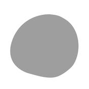 Pewter Plate