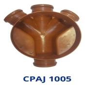 CPAJ 1005