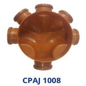 CPAJ 1008