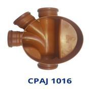 CPAJ 1016