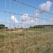 4ft Horse Wire 50m Roll