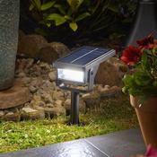 Revo 50 Lumen Solar Garden Spotlight | 1004053 image