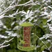 Chapelwood Decor Squirrel Proof Peanut Feeder image