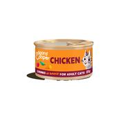 Adult Cat Chunks Chicken 85g image