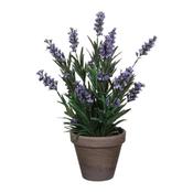 Blue Lavender in Grey Pot Stand image