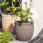Dimpled Egg Pot | Chocolate Terracotta/Terracotta image