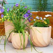 Terracotta Swirl Pot