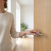 Internal Door Handle Satin Nickel Seville image