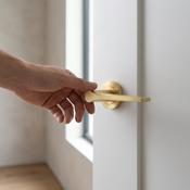 Vienna Door Internal Satin Brass Handle