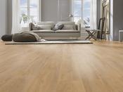 12mm Robusto 4V AC5 Premium Oak Nature image