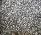 Dove carpet