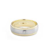 0.04ct Two Tone Satin Centre &amp; Polish Edge Single Natural Diamond Band In 9ct White Gold - S image